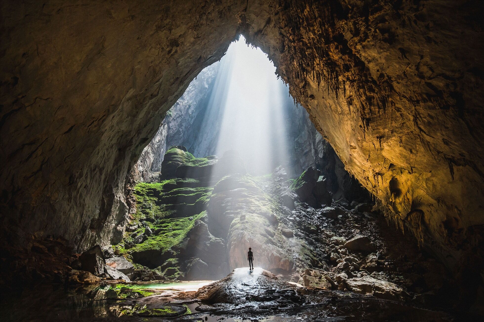 Nature’s cathedral – no words needed